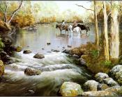 Australian Bush - 乔治·菲利普斯